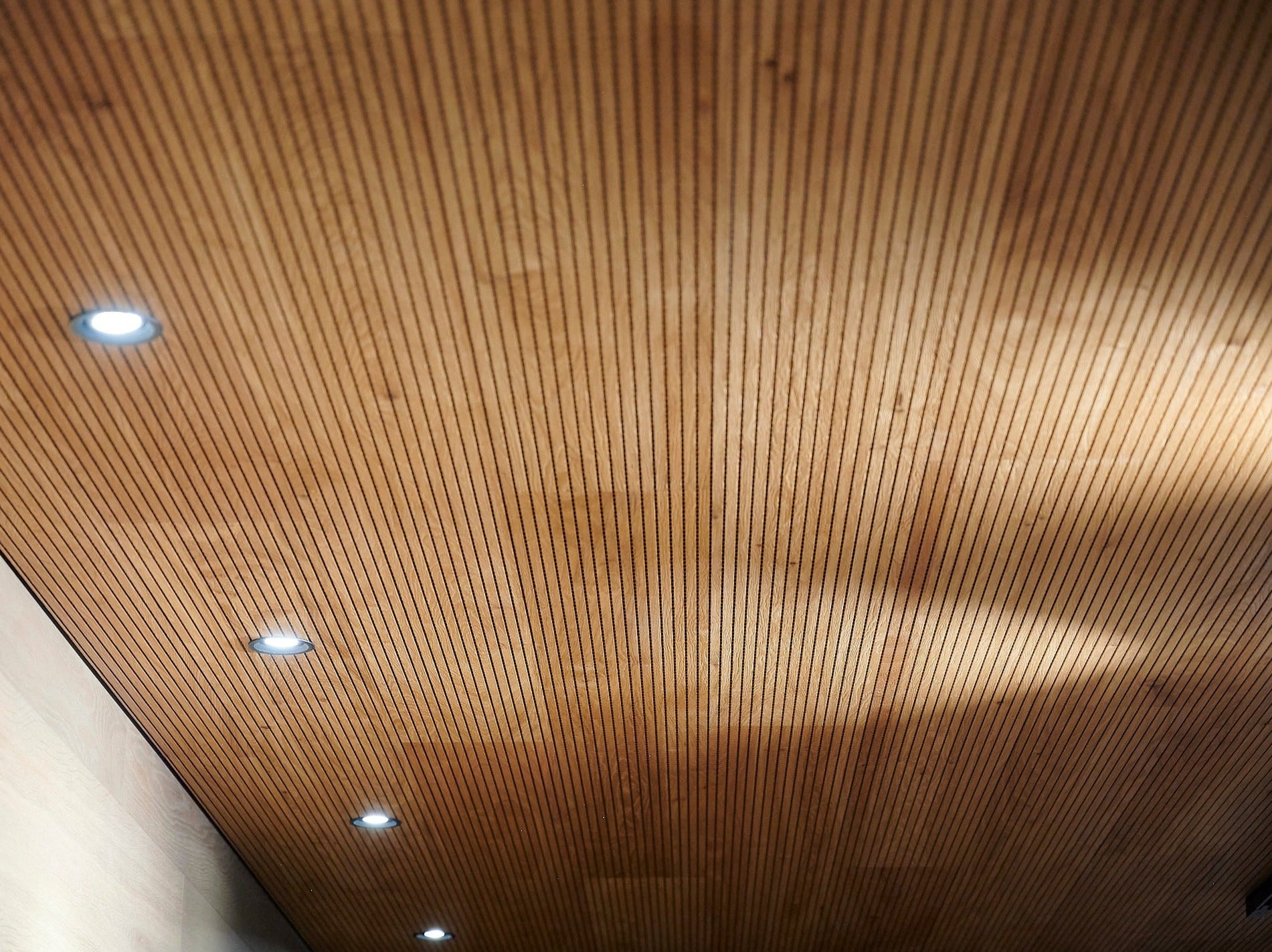 Akustik Paneele Eiche natur gebürstet geölt