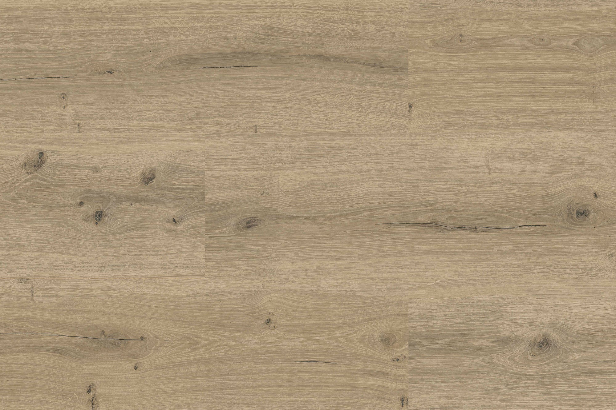Designvinyl Holz Dekor Eiche Select grau