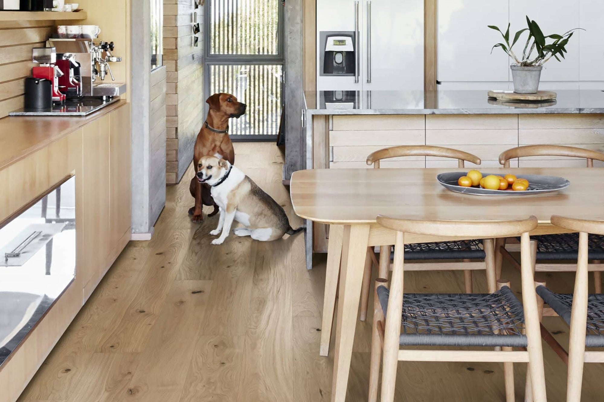 Parkett Landhausdiele Eiche Country cremeweiss gebürstet matt lackiert