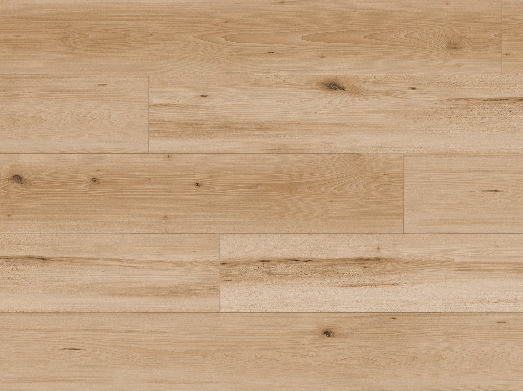 Laminat Dekor Buche natur (FLOOR Design)